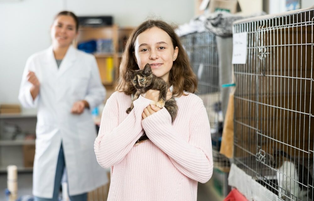 Vacances sans souci : quelles solutions pour le séjour de votre chat ?