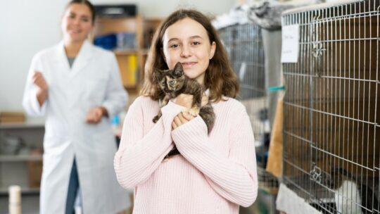 Vacances sans souci : quelles solutions pour le séjour de votre chat ?